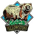Yellowstone National Park with Grizzly Bear Fri...