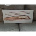 Oil Painting of an Express Train - Signed Julie...