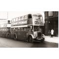 Black & White Photograph of Manchester Corporat...