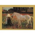The Poppy Field - Sir Alfred Munn - Postally Un...