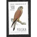 POLAND 1975 3z COMMON KESTREL SG2346 U/M MINT
