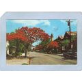 FL Key West Lighthouse Postcard Key West Lighth...