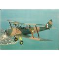 Aviation DH.82A TIGER MOTH Postcard (Dennis M.0...
