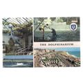 THE DOLPHINARIUM, BRIGHTON, SUSSEX used vintage...