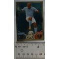 2010/11 Topps Match Attax Trading Card 371 Nige...