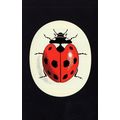 Ladybird Childrens Book Giant Commemorative Log...