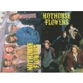 Hothouse Flowers Pop Group 2x Postcard s
