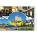 South Wales Gardens Multiview Postcard unused c...