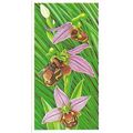 Incredible Creatures 1985 Brooke Bond Tea Card ...