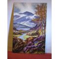 LOCH ACHRAY, TROSSACHS unused antique postcard ...