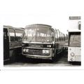 Black & White Photograph of Stevensons of Uttox...