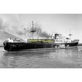 mc1631 - Blue Star Cargo Ship - Napier Star , b...