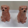 Cockapoo Dogs Salt and Pepper Pots Novelty Cani...