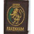 Scout Badge UK - Fakenham - Black Back (BY08)