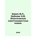 Zorin V.L., Zubkova N.V. Exotic short-haired ca...