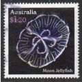 Australia 2023 Jellyfish : Underwater Wonders -...