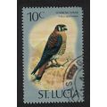 St. Lucia American kestrel Sparrow Hawk Bird 10...