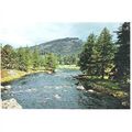 Invercauld, Aberdeenshire - River Dee - Dixon p...