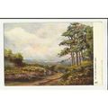 1532 Kent HAYES Common Tuck Oilette Postcard