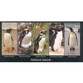 Falkland Islands Postcard 2005 - Penguins