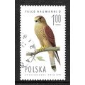 POLAND 1975 1z LESSER KESTREL FEMALE SG 2342 FI...