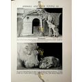 Animals And Their Young (Giraffe & Hippopotamus...