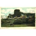 Pevensey Castle, Sussex, Peacock Autochrome, Po...
