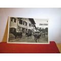 CATTLE IN THE STREET, MITTENWALD, GERMANY unuse...