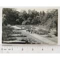 1963 postcard Rose Gardens, Hesketh Park, South...