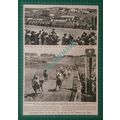 (X370) Horse MY LOVE Aga Khan Leon Volterra Der...