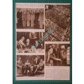 (X383) Dewey Stassen Taft Little Eva Elephant R...