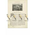 Kensington Palace, London, Book Illustration (P...