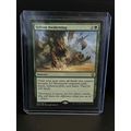 Sylvan Awakening Dominaria Magic: the Gathering...