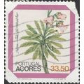 AZORES, FLOWER, Azorina vidalii, Azores bellflo...