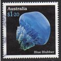 Australia 2023 Jellyfish : Underwater Wonders -...