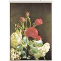 Red Rose Postcard used 1981 VGC
