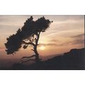 Dusk at Black Rocks, Wirksworth, Derbyshire