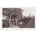 Windmill Hill Garden Gravesend Postcard Kent
