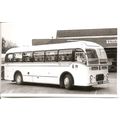 Black & White Photograph of Tillings Transport ...