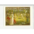 A Mumbles Railway Publishing Postcard MRP/215 R...