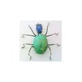 Turquoise Spider Stainless Wire Wrap Pin Brooch 16