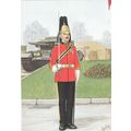 Warrant Officer Escort To The Guidon The Royal ...