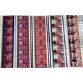 SOLDIER BLUE. Pk MULTI QVF - a001A. - 5 STRIPS ...