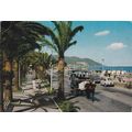Diano Maria Viale della Palme Italy Postcard po...
