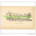VINEYARDS OF THE MIDDLE VALLESPIR, FRANCE, BOOK...