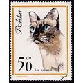 Poland 1964 Cats 50gr Used Stamp