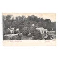 DUKE OF NORFOLK'S DAIRY ARUNDEL SUSSEX LITTLEHA...