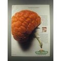 1985 Fruit Corners Fruit Roll-Ups Ad - Raspberry