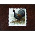 Poland 1970 Game Birds Western Capercaillie min...