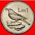 Ⰶ BIRD (1991-2007): MALTA ★ 1 POUND 1994! MINT ...